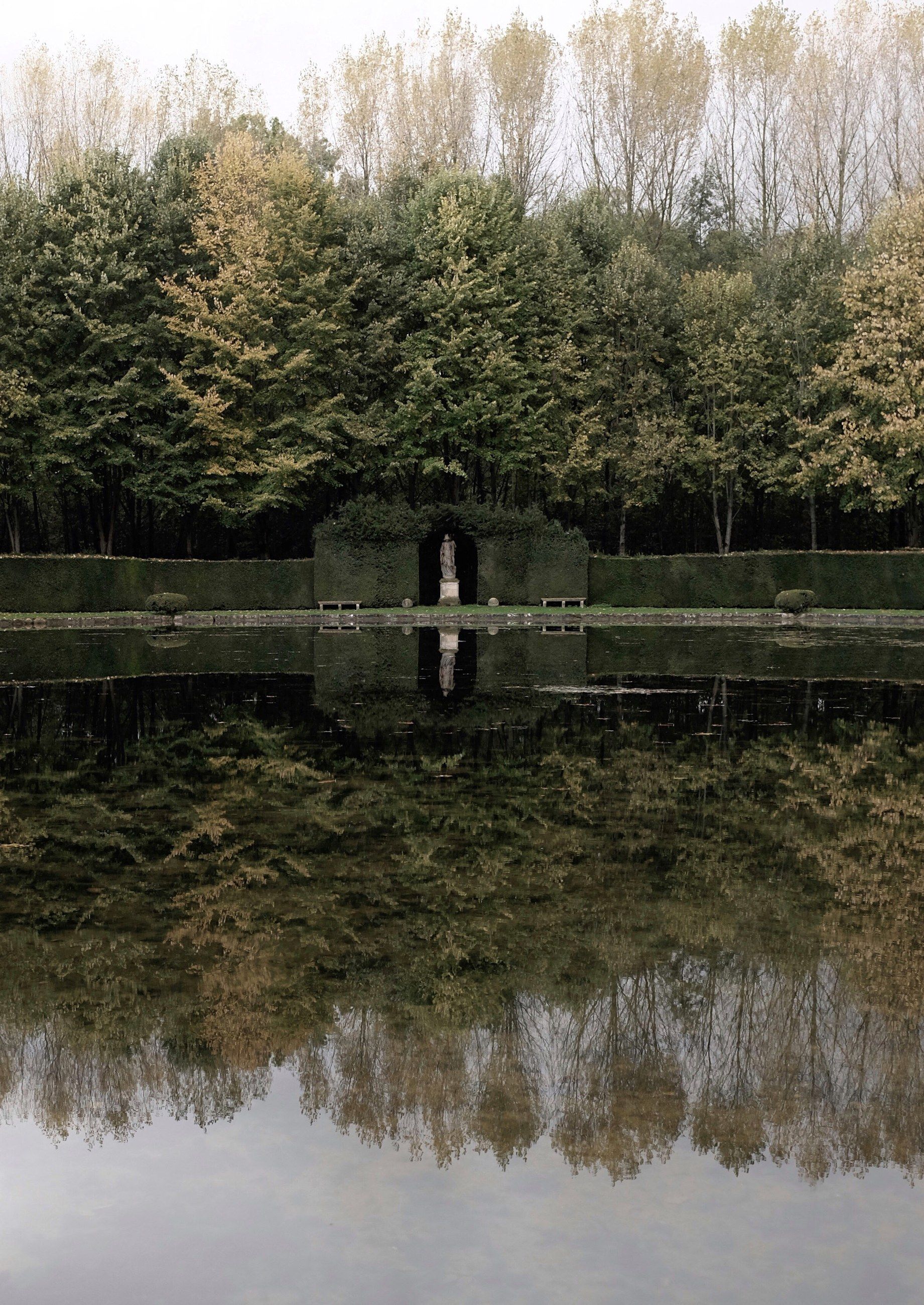 Autumn trees reflected in a still pond
