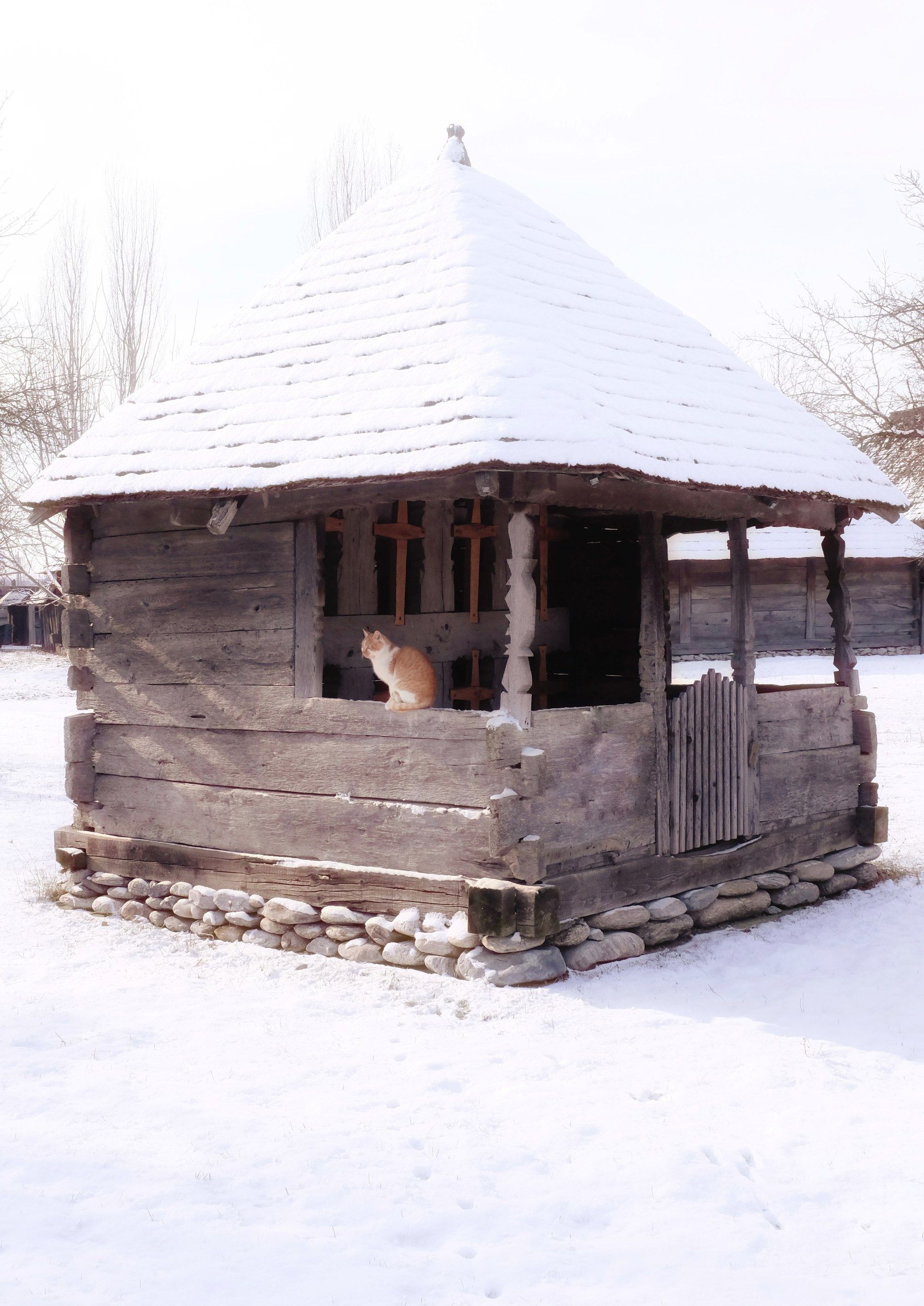 A wooden hut in snow with a cat on the step